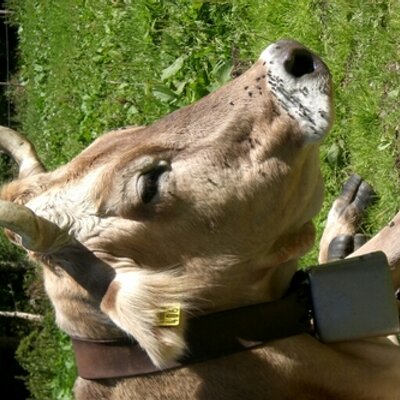 Profile Picture of Karl-Heinz Baumann (@kazarl1812) on Twitter