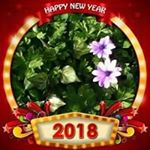 Profile Picture of Thomas Taverna Karousades (@tavernakarousades) on Instagram