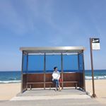 Profile Picture of 쵠정 (@rainbow_momvely) on Instagram