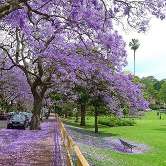 Profile Picture of John Quach (@JohnQuach10) on Twitter