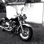 Profile Picture of Andrew Nagler (@naglerandrew) on Instagram