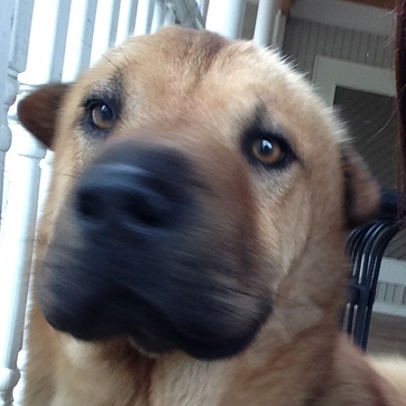 Profile Picture of Lindsay Mclure (@lhmclure) on Poshmark