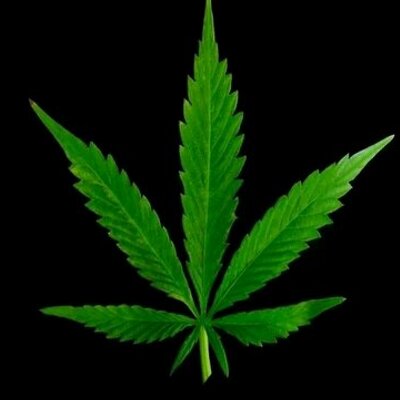 Profile Picture of Joseph West (@@42144e772ebb4a6) on Twitter