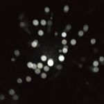 Profile Picture of max lutz (@max_lutz45) on Instagram