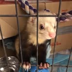 Profile Picture of Robert Muscat (@robert.muscat.1694) on Facebook