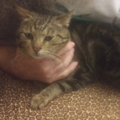 Profile Picture of Roy & Cheryl Letson (@roysrandcheryl) on Twitter