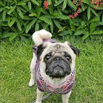 Profile Picture of Gregory Steven (@gregory_steven763) on Instagram