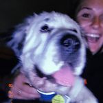 Profile Picture of Brandy Link (@brandyatberkeley) on Instagram