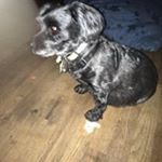 Profile Picture of Marshall Barnhard (@marshallbarnhard) on Instagram