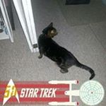 Profile Picture of Jeffrey Vannatta (@vannattaj) on Instagram