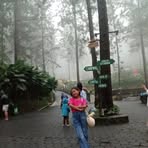 Profile Picture of Adriana Ardhani (@Adriana-Ardhani) on Facebook