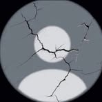 Profile Picture of Jose Bucio (@Jose-Bucio) on Facebook