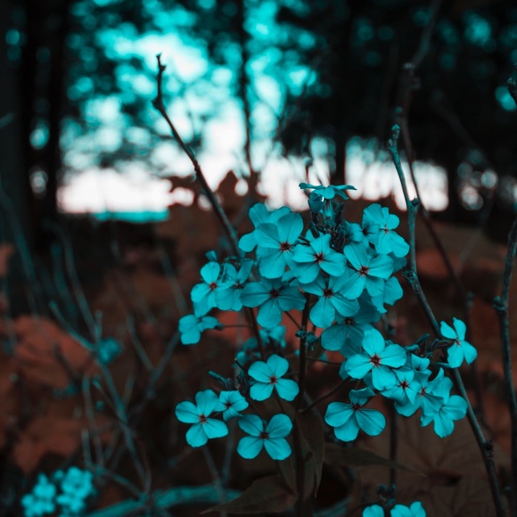 Maria Ady - Poshmark Profile Picture of Maria Ady (@dabebe32) on Poshmark