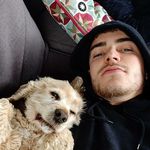 Chris Britton - Instagram Profile Picture of Chris Britton (@chrisbritton1) on Instagram