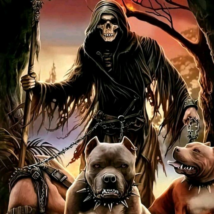 Profile Picture of Michael Trier (@michael.trier1) on Tiktok