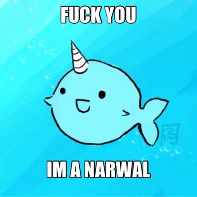 Profile Picture of Mitchell Ott (@MitchellOtt) on Twitter