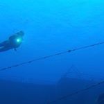 Profile Picture of James Nappo (@jnappo57) on Instagram