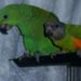 Profile Picture of Judith Hinds (@hinds0794) on Pinterest