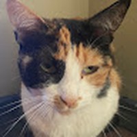 Luke Macias - Quora Profile Picture of Luke Macias (@luke-macias-7) on Quora