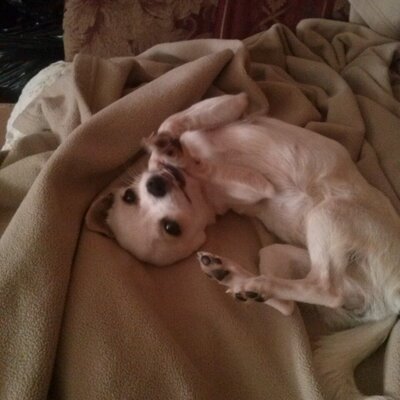Profile Picture of Bobbie Hose (@BhHose) on Twitter