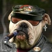 Glenn Brock - Myspace Profile Picture of Glenn Brock (@351732663) on Myspace