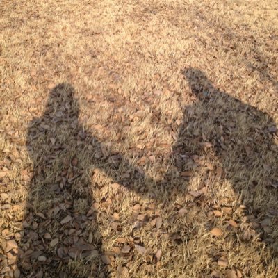 Profile Picture of Bing Bai (@Crystal_kaka) on Twitter