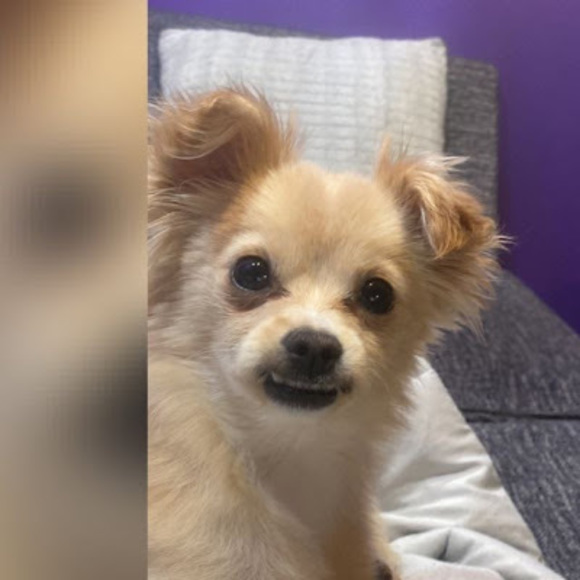 Carlos Avalo - Poshmark Profile Picture of Carlos Avalo (@carlosavalo4986) on Poshmark