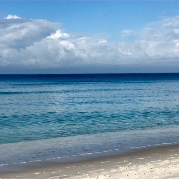 Profile Picture of Dawn Torti (@dmctorti) on Poshmark