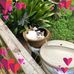 Profile Picture of Iris Lamb (@iris.lamb.963) on Facebook