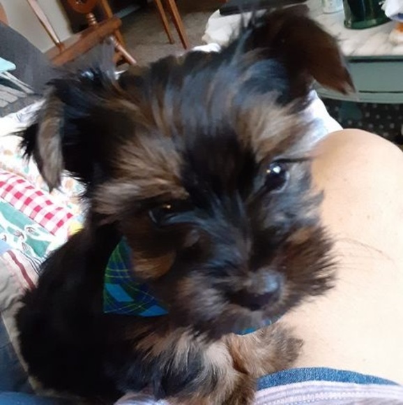 Profile Picture of Pamela Knight (@pamelaknight909) on Poshmark