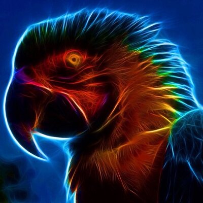 Profile Picture of Rex Wilson (@Rexw1642) on Twitter