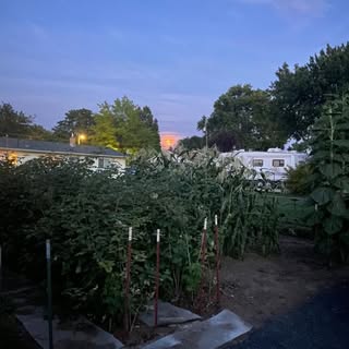 Profile Picture of Josh Bosley (@joshbosley) on Instagram