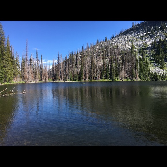 Profile Picture of Christina Nemec (@c_nemec) on Poshmark