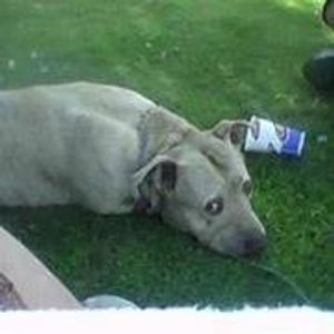 Profile Picture of Tammy Nolan (@tammy.brewernolan) on Myspace