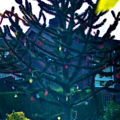 Profile Picture of AD (@aoifeduffy25) on Twitter