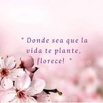 Profile Picture of Silvina Quaranta (@silvinavquaranta) on Instagram