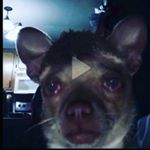 Profile Picture of Mandy Foster (@mandyyyyyyyyyyyyyyyyyyf) on Instagram