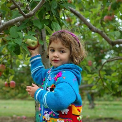 Profile Picture of Jo Linn Threlkeld (@WINTERGARDEN01) on Twitter