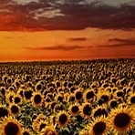 Profile Picture of Robin McDermott (@robin.mcdermott.9480) on Facebook