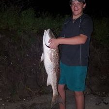 Profile Picture of Brock Palmer (@Brockpalmer6) on Twitter