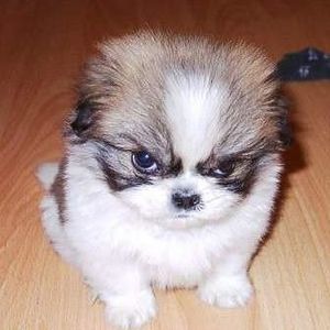 Profile Picture of Tom Nowicki (@badkarmae13) on Myspace