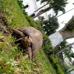 Profile Picture of Ericson Zadiel (@Ericson-Zadiel) on Facebook