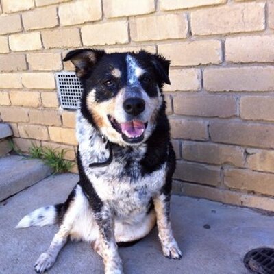 Profile Picture of Taryn Knight (@tazza2411) on Twitter