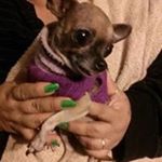 Profile Picture of Yolanda Bedolla (@bedollayolanda) on Instagram