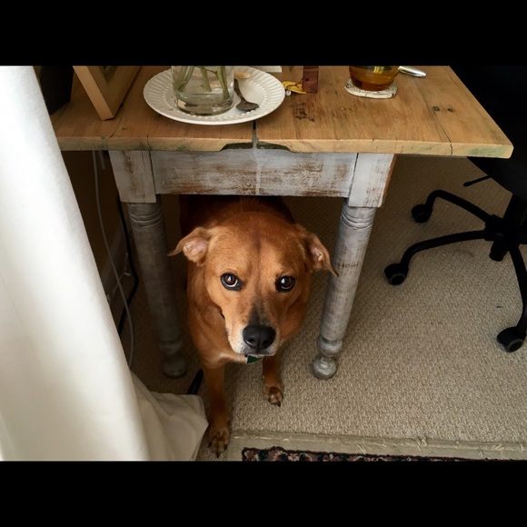 David Gleichauf - Poshmark Profile Picture of David Gleichauf (@davidthemavin) on Poshmark