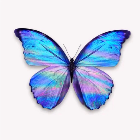 Profile Picture of Yaritzel Agueda (@yaritzela) on Poshmark