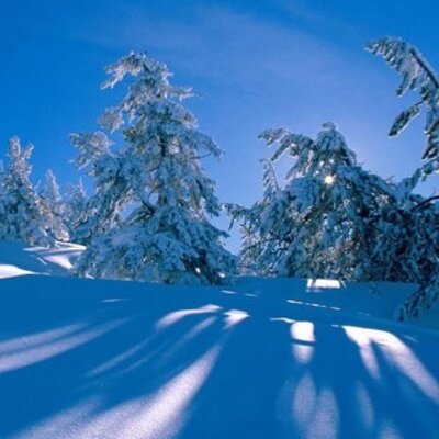 Profile Picture of Debbie Rischitelli (@DebRischitelli) on Twitter