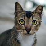 Profile Picture of Reginald McCarty (@reginaldmccarty) on Instagram