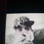 Reece Bradley - Instagram Profile Picture of Reece Bradley (@reece.bradley.351) on Instagram