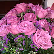 LaShonda Moore - Youtube Profile Picture of LaShonda Moore (@lashondamoore6846) on Youtube